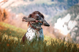 Gruppenfotoshooting Jagd- / Hundetraining