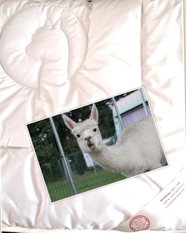 Premium Alpaka Bettdecke gerade bei uns im Angebot