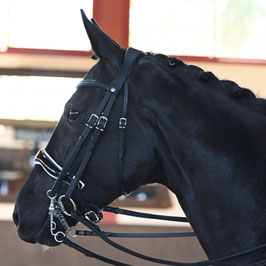 ORIGIN DRESSAGE（馬場用大勒）