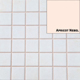 Fugenmörtel APRICOT NEBEL