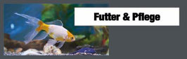 Aquarium Futter 1