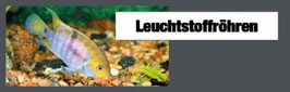 Aquarium Leucht 4