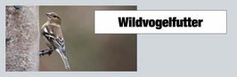 Wildvogel 5