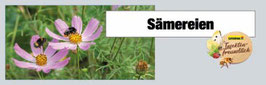 Sämereien B11 Bienen