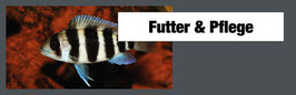 Aquarium Futter "JBL" 3