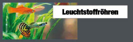 Aquarium Leucht 2