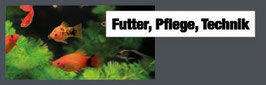 Aquarium Futter-Teich