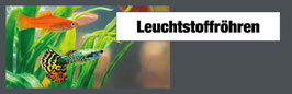 Aquarium  Leucht "Hagen" 2