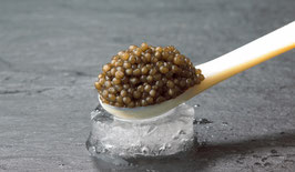 Kaviar vom Stör Ossetra