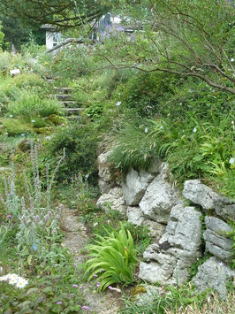 Steinmauer