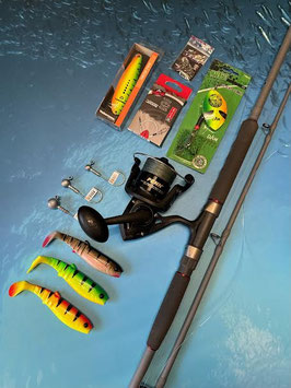 STARTER KIT SILURO SHIMANO/PENN