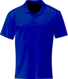 Polo Camisero