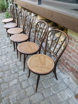 6er Satz Thonet Stühle um 1900