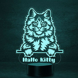 Main Coon Katze "Kitty" Katzen Geschenk -  personalisierte LED Lampe + Fernbedienung