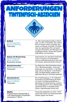 TINTENFISCH-KURS (DEUTSCH) + NEU: SQUID COURSE (ENGLISH speaking)