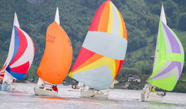 PERFEKTIONSKURS SPINNAKER/GENNAKER