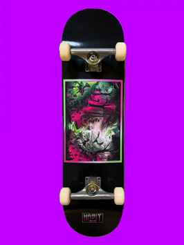 Skateboard Complete Fantasy Silver TRUCKS