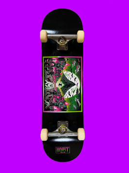 Skateboard Complete Cat Buster Silver TRUCKS