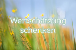Gutschein 100€