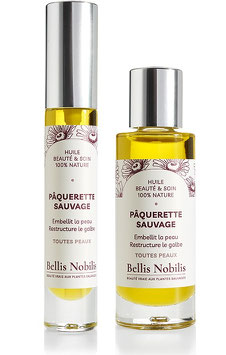Pâquerette Sauvage