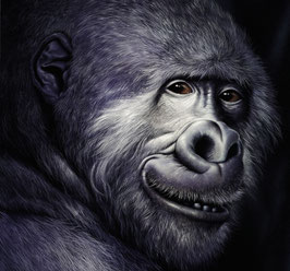 Kunstdruck - Der Gorilla