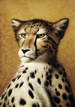 Kunstdruck - Der Gepard