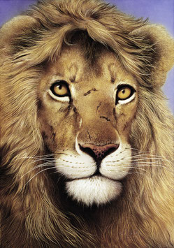 Kunstdruck - Der Löwe