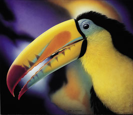 Kunstdruck - Fischertukan