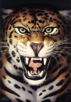 Kunstdruck - Der Jaguar
