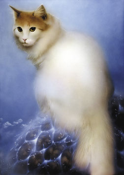 Kunstdruck - Cremefarbene Katze