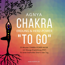 CHAKRA TO GO ~ 25 MIN. "POWER BREATHING~Versand digital Download (We-Transfer)