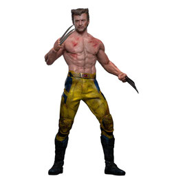 Wolverine ( TVA Jacket Version ) 1/6 Marvel Deadpool & Wolverine Movie Masterpiece Actionfigur 31cm Hot Toys
