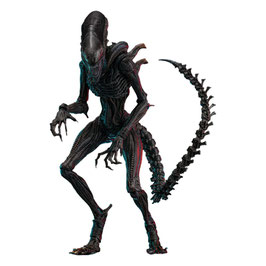 Scorched Xenomorph 1/6 Alien Romulus Movie Masterpiece Actionfigur 44cm Hot Toys