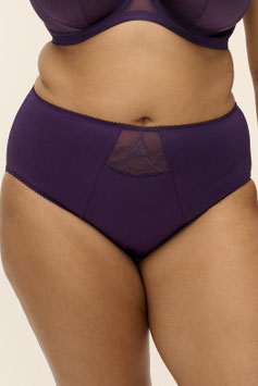 Full Brief