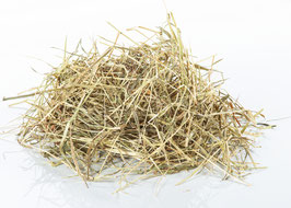 2kg Timothy Heu