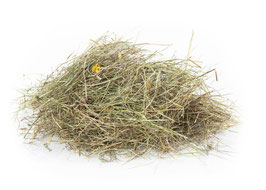 2kg Wiesenheu  (1.Schnitt)