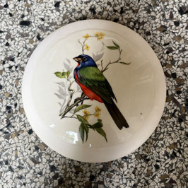 Vogel #1
