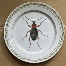 Porcelain plate #4a Goldglänzende Laufkäfer