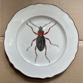 Porcelain plate #4c Goldglänzende Laufkäfer