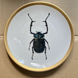 Porcelain plate #2a Goliathkäfer