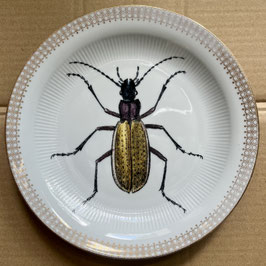 Porzellanteller #3a Sandlaufkäfer
