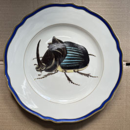Porcelain plate #7a Skarabäus