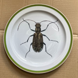 Porcelain - plate #1c Laufkäfer