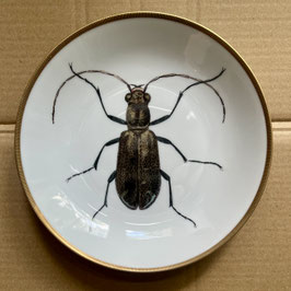 Porcelain plate #1a Laufkäfer