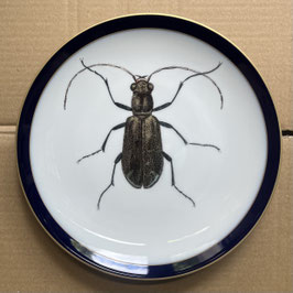 Porcelain plate #1b Laufkäfer