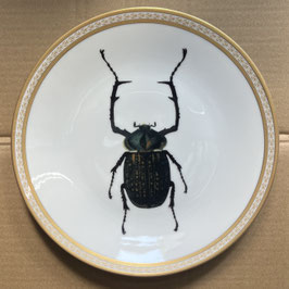 Porcelain plate #2b Goliathkäfer