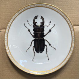 Porcelain plate #5a  Hirschkäfer