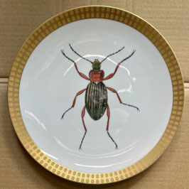 Porcelain plate #4d Goldglänzende Laufkäfer