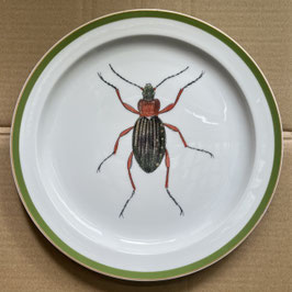 Porcelain plate #4b Goldglänzende Laufkäfer