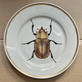Porcelain plate #6a Elefantenkäfer